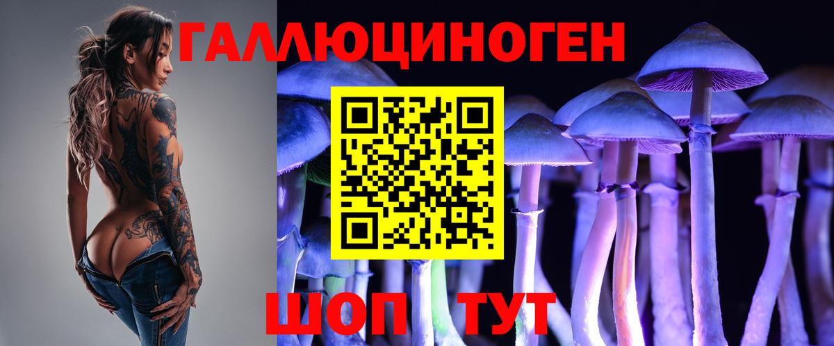 Галлюциногенные грибы GOLDEN TEACHER Видное