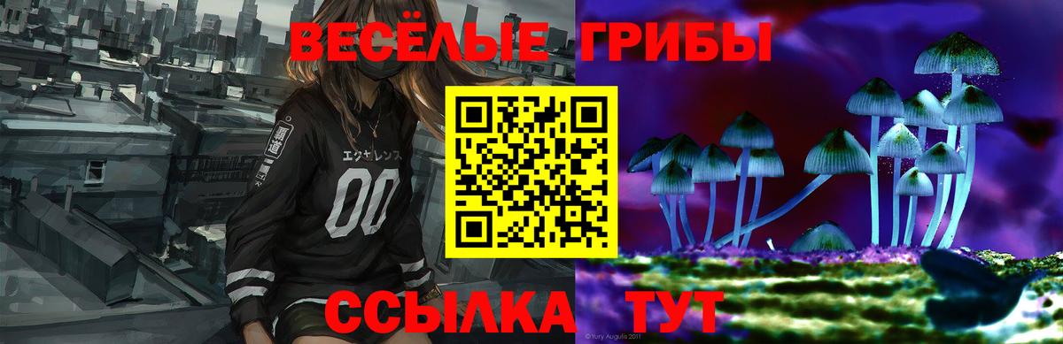 Видное  Псилоцибиновые грибы Cubensis  Галлюциногенные грибы MAGIC MUSHROOMS  Вход с VPN 